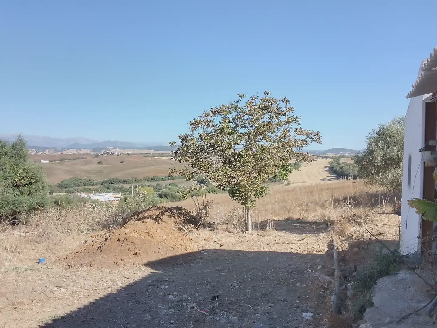 Building Plot for sale in Arcos de la Frontera - € 182,000 (Ref: 10016407)