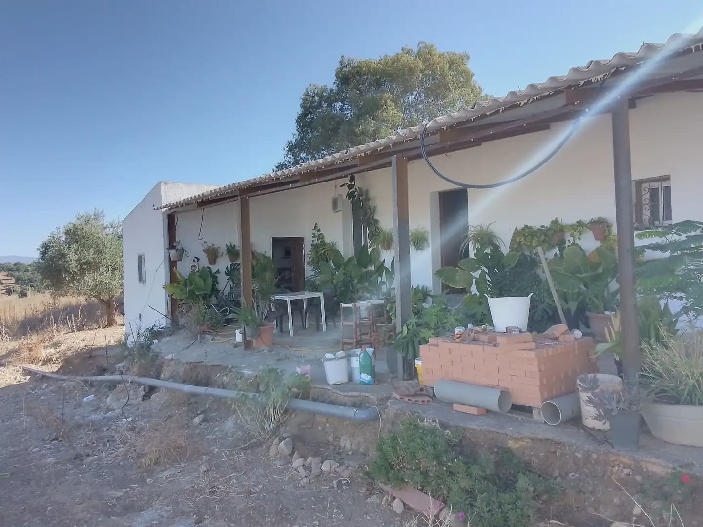 Building Plot for sale in Arcos de la Frontera - € 182,000 (Ref: 10016407)