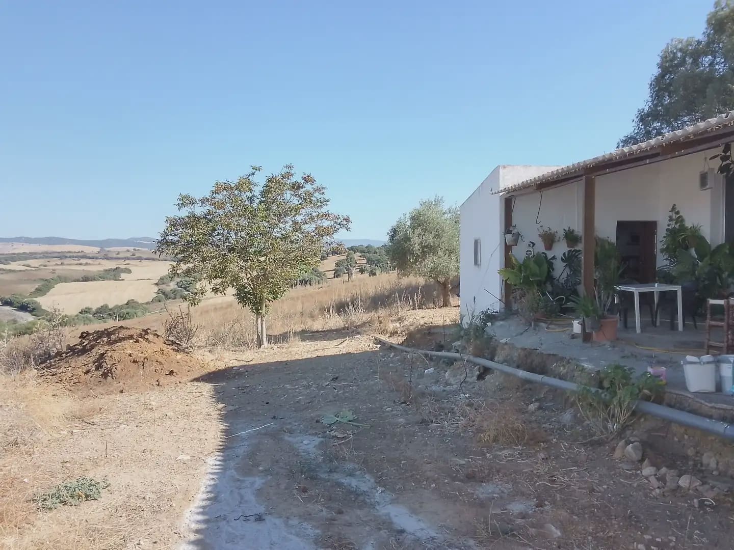 Building Plot for sale in Arcos de la Frontera - € 182,000 (Ref: 10016407)