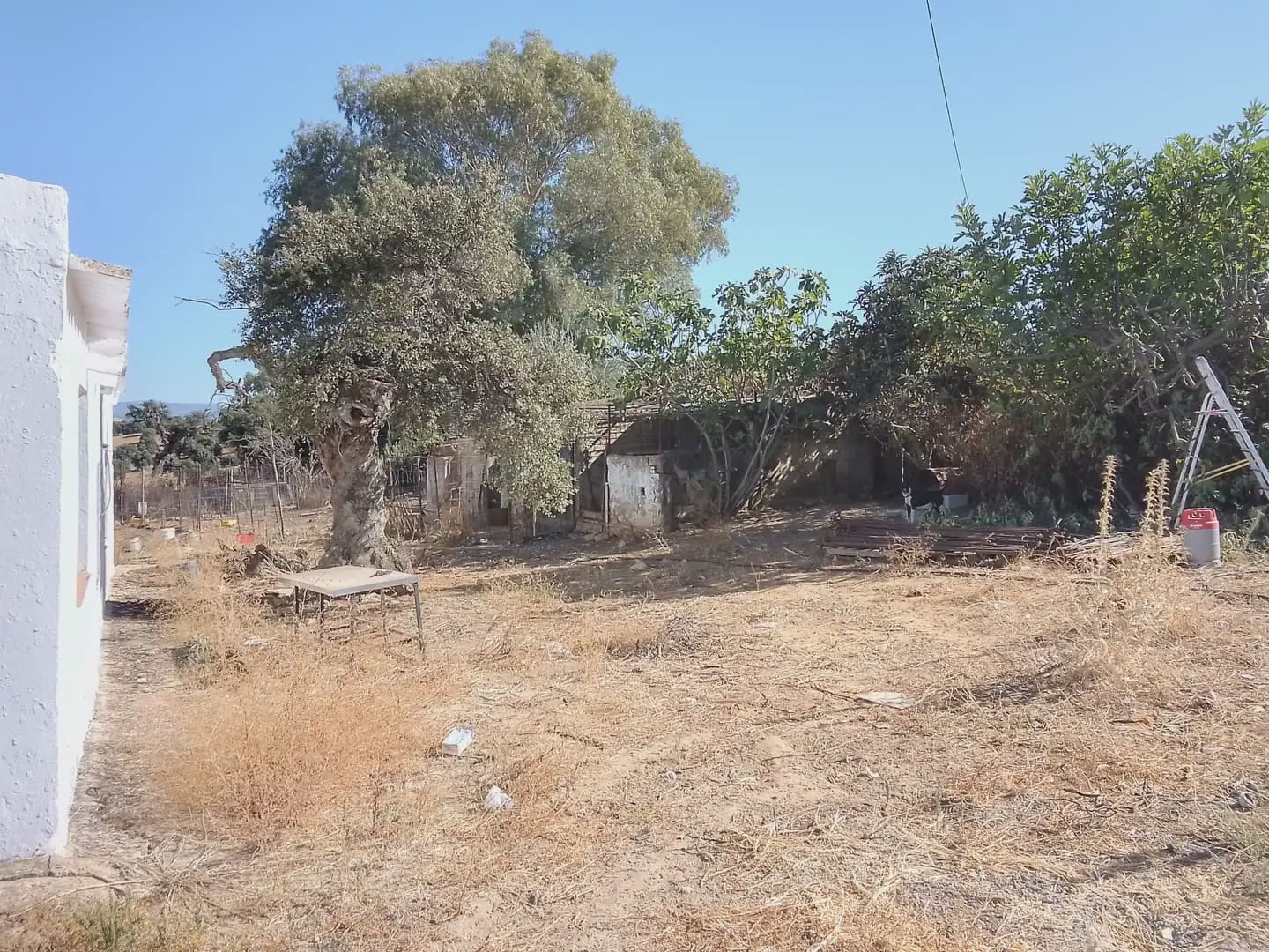 Building Plot for sale in Arcos de la Frontera - € 182,000 (Ref: 10016407)