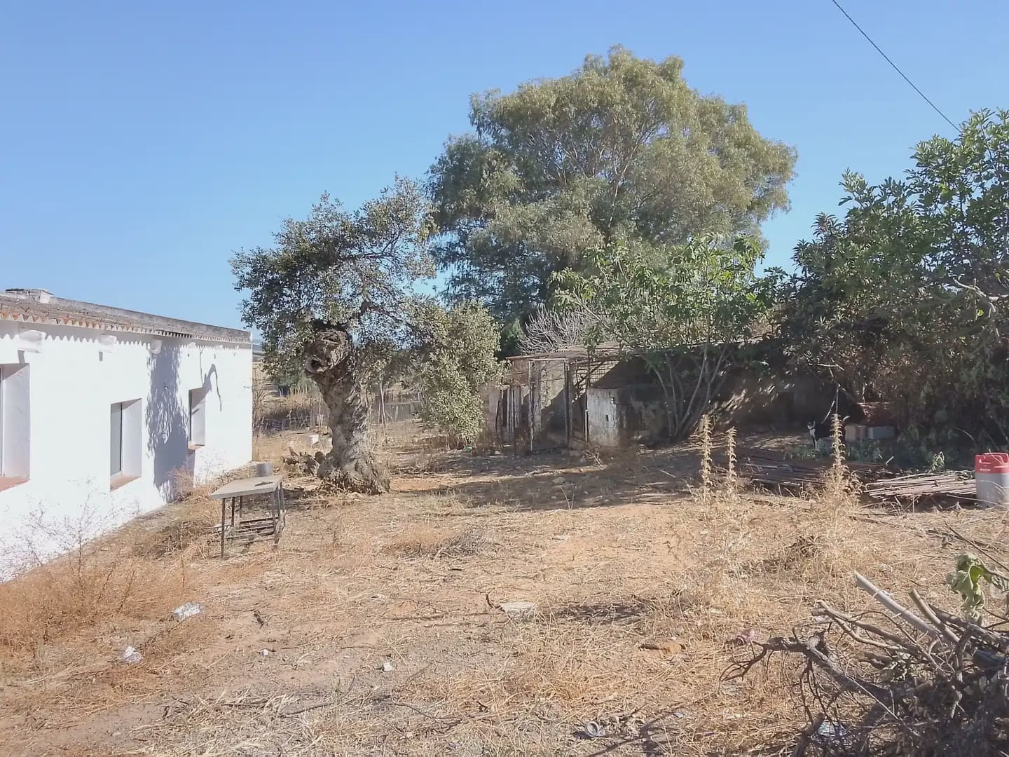 Building Plot for sale in Arcos de la Frontera - € 182,000 (Ref: 10016407)