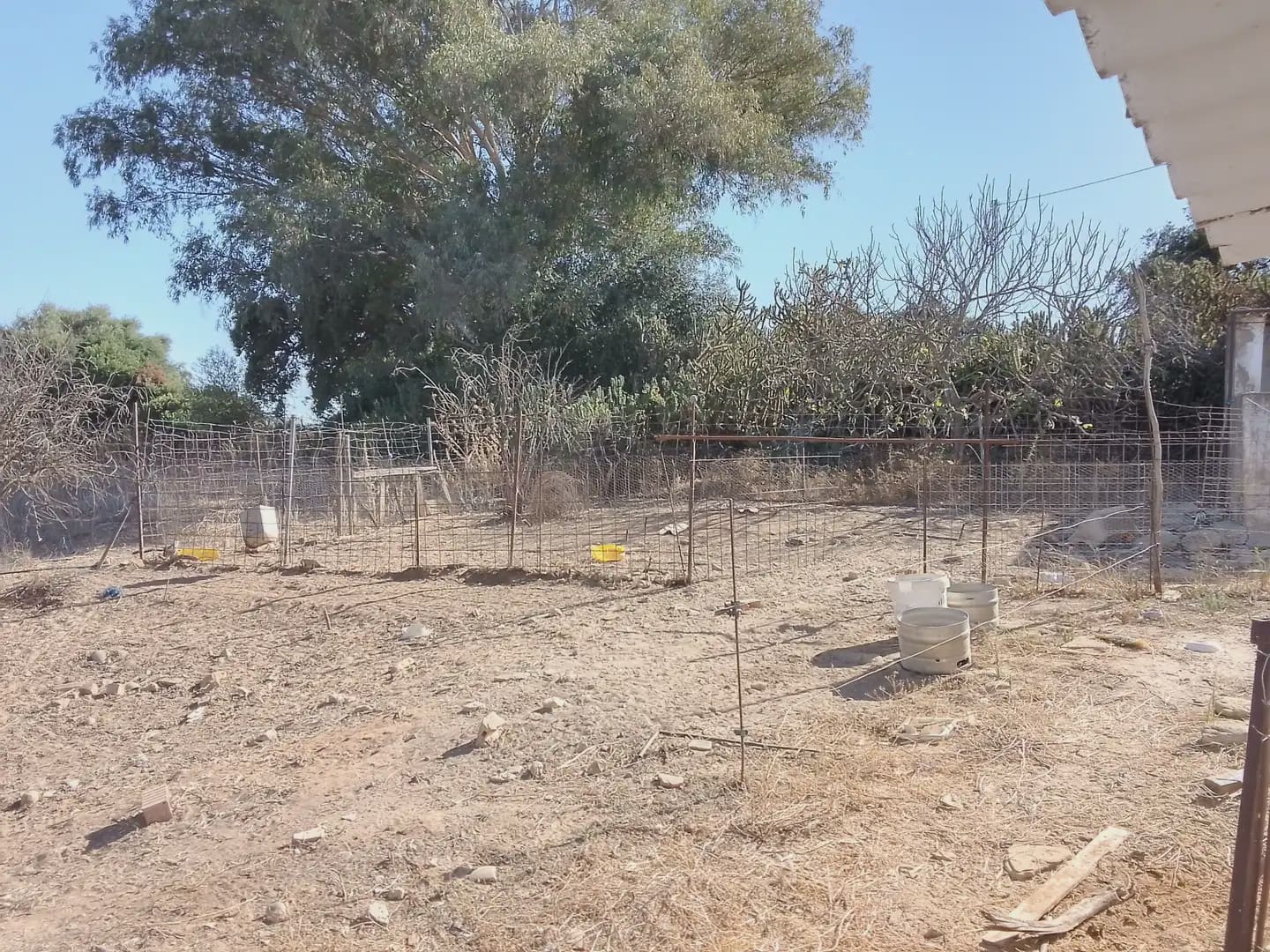 Building Plot for sale in Arcos de la Frontera - € 182,000 (Ref: 10016407)