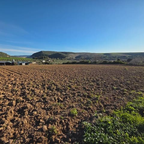 Finca/Landehus til salg i Arcos de la Frontera - € 180.000 (Ref: 10016409)