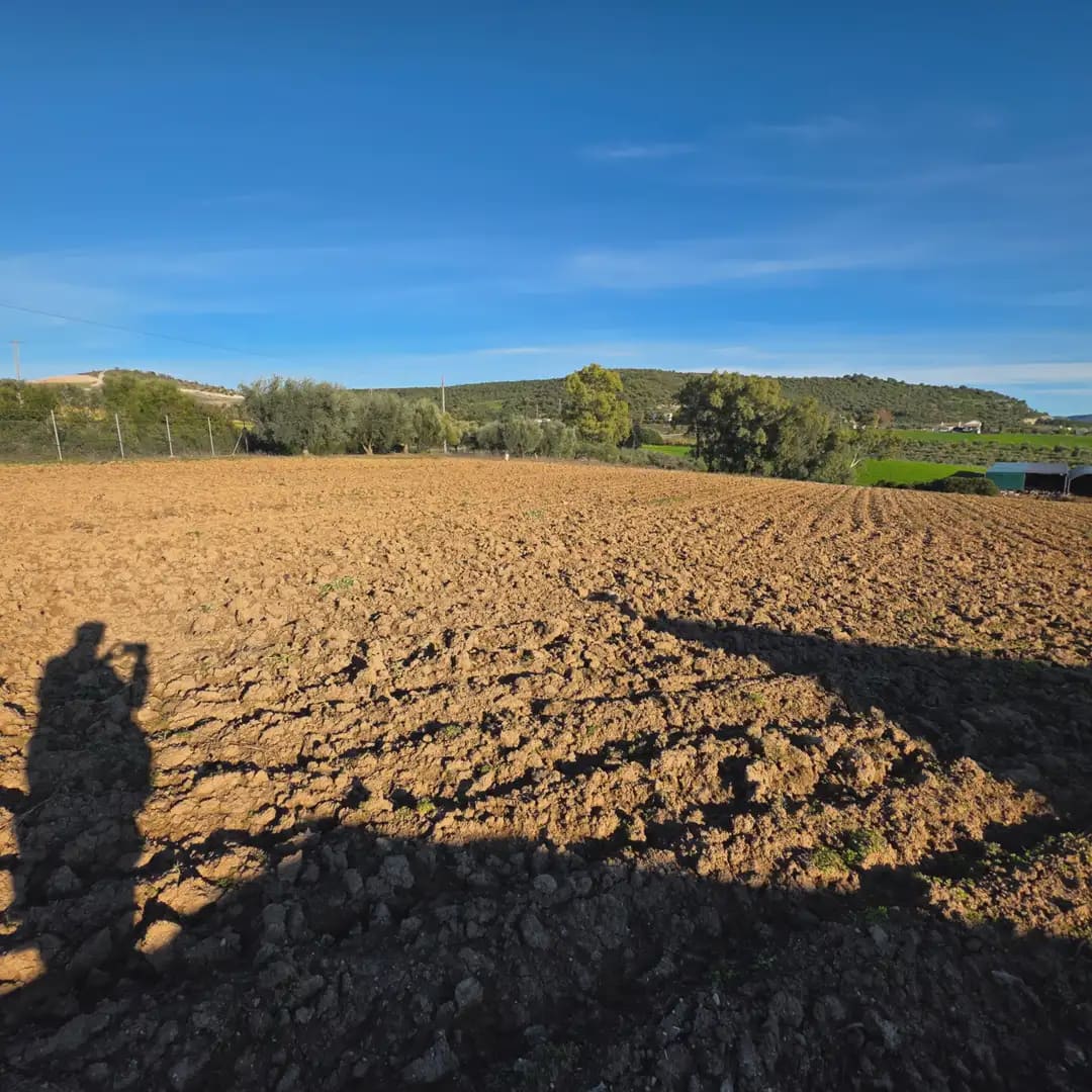 Finca/Landehus til salg i Arcos de la Frontera - € 180.000 (Ref: 10016409)