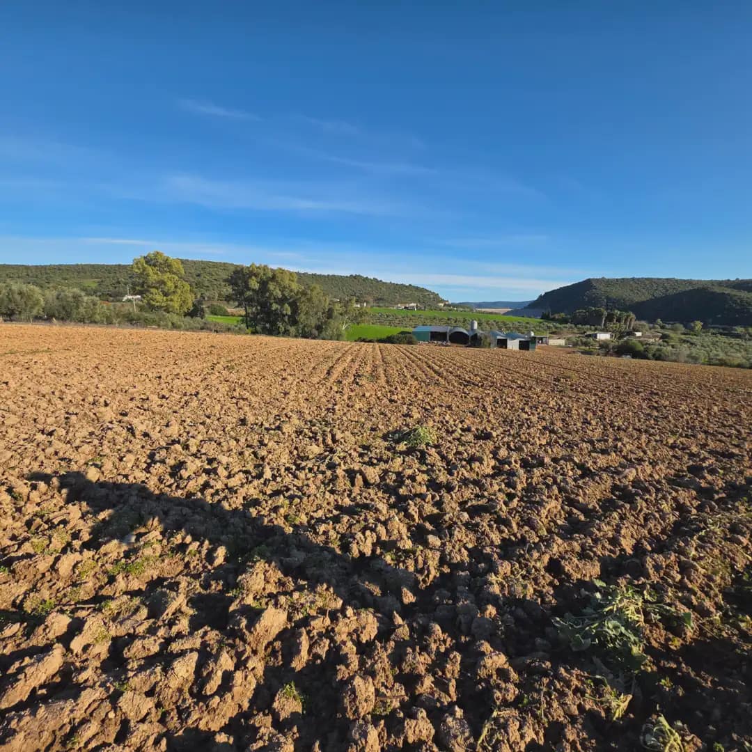 Finca/Landehus til salg i Arcos de la Frontera - € 180.000 (Ref: 10016409)