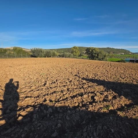 Finca/Landehus til salg i Arcos de la Frontera - € 180.000 (Ref: 10016409)