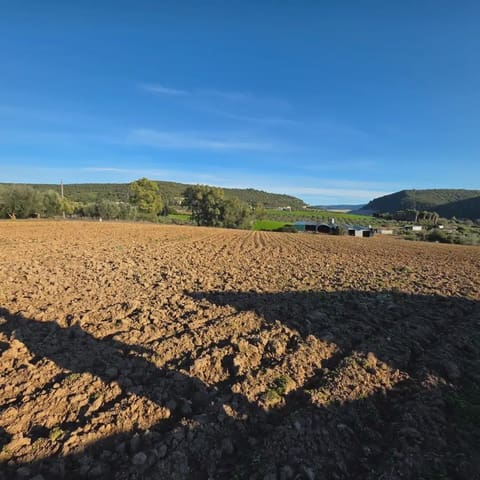 Finca/Landehus til salg i Arcos de la Frontera - € 180.000 (Ref: 10016409)