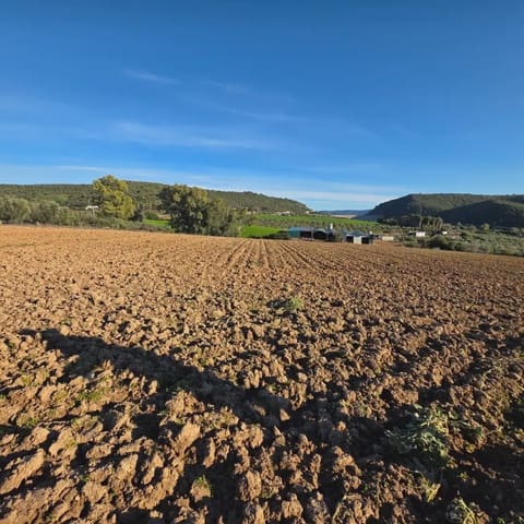 Finca/Landehus til salg i Arcos de la Frontera - € 180.000 (Ref: 10016409)