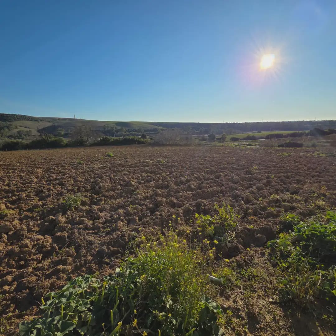 Finca/Landehus til salg i Arcos de la Frontera - € 180.000 (Ref: 10016409)
