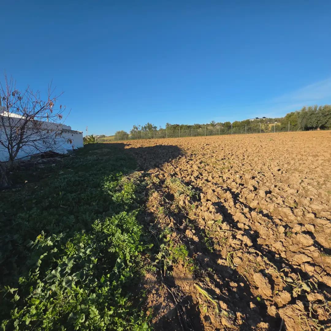 Finca/Landehus til salg i Arcos de la Frontera - € 180.000 (Ref: 10016409)