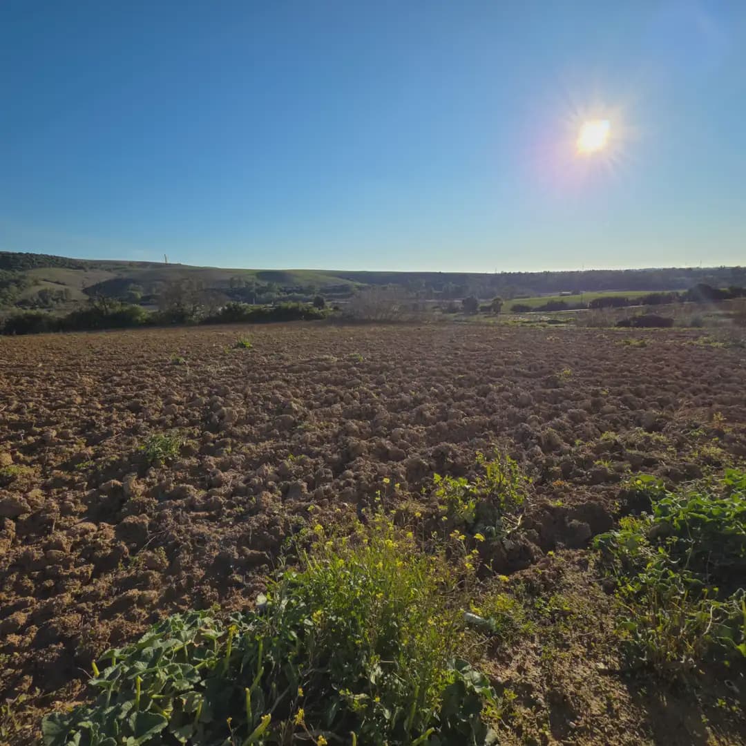 Finca/Landehus til salg i Arcos de la Frontera - € 180.000 (Ref: 10016409)