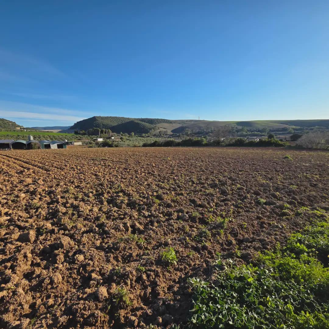 Finca/Landehus til salg i Arcos de la Frontera - € 180.000 (Ref: 10016409)