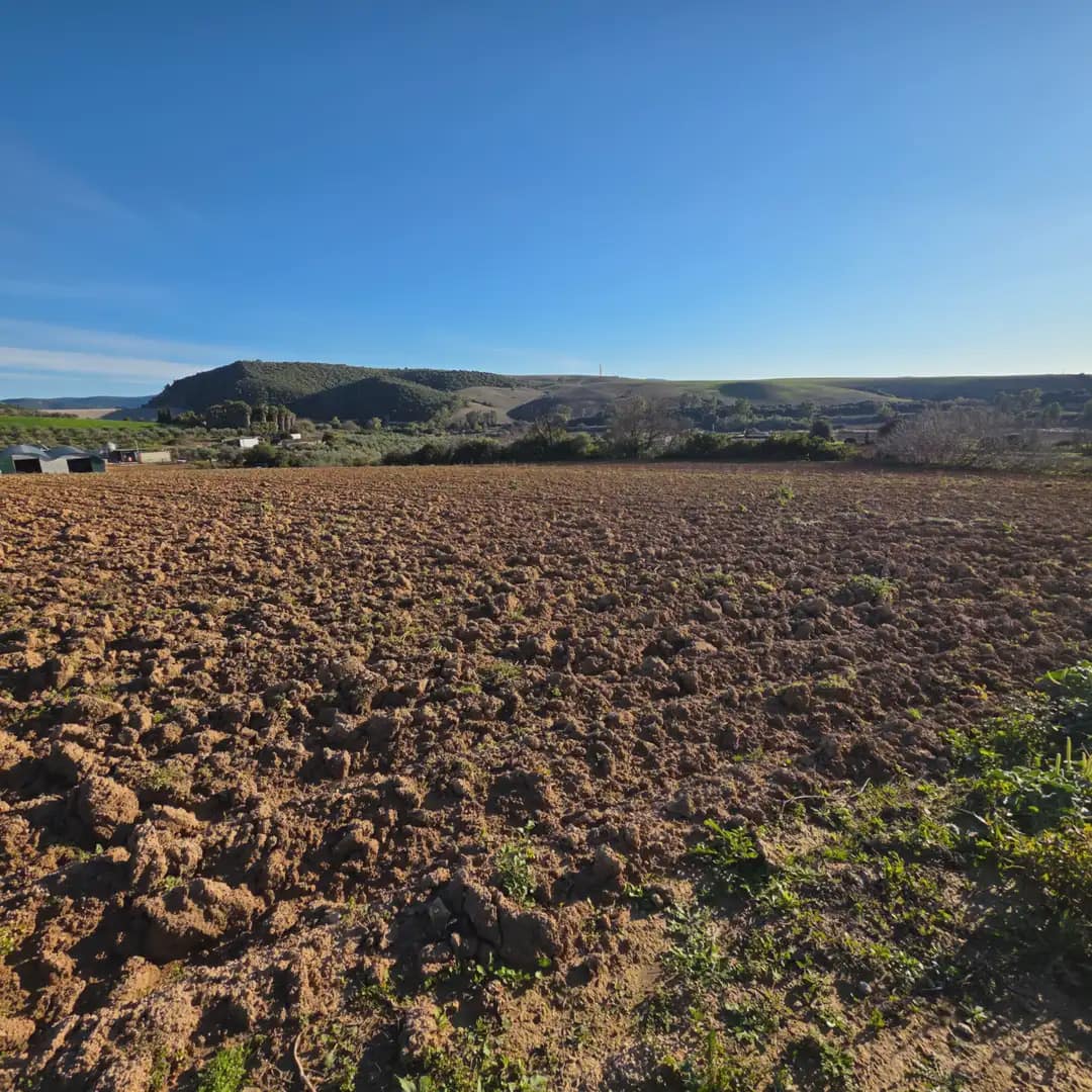 Finca/Landehus til salg i Arcos de la Frontera - € 180.000 (Ref: 10016409)