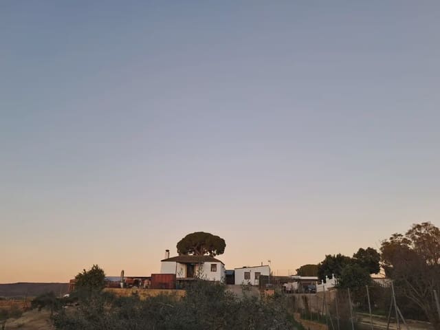 3 chambre Finca/Maison de Campagne à vendre à Arcos de la Frontera avec garage - 400 000 € (Ref: 10016413)