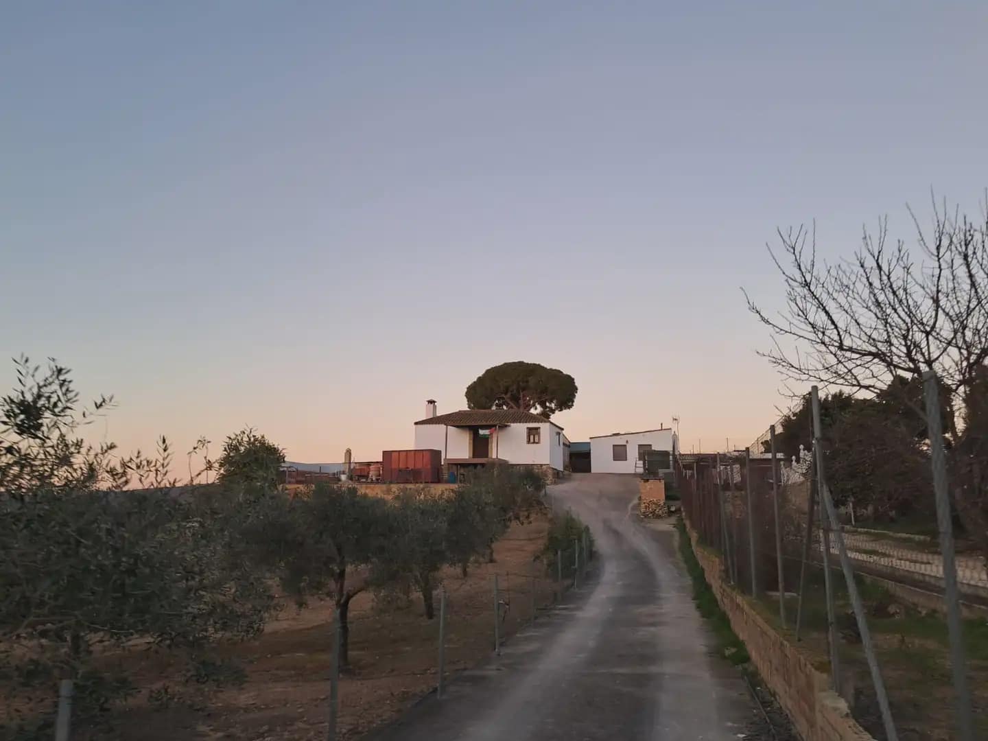 3 chambre Finca/Maison de Campagne à vendre à Arcos de la Frontera avec garage - 400 000 € (Ref: 10016413)