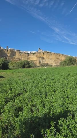 Grunde uden byggetilladelser til salg i Arcos de la Frontera - € 75.000 (Ref: 10016417)