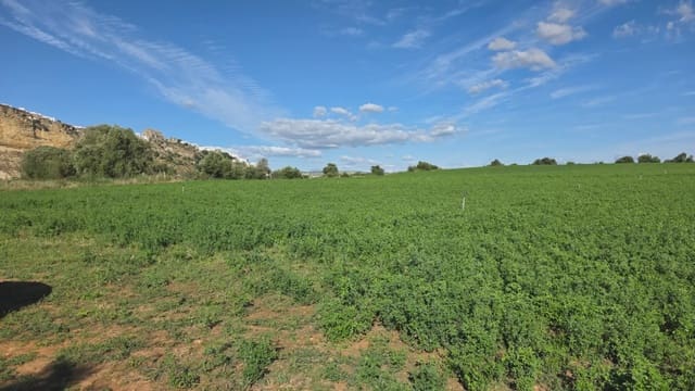 Grunde uden byggetilladelser til salg i Arcos de la Frontera - € 75.000 (Ref: 10016417)