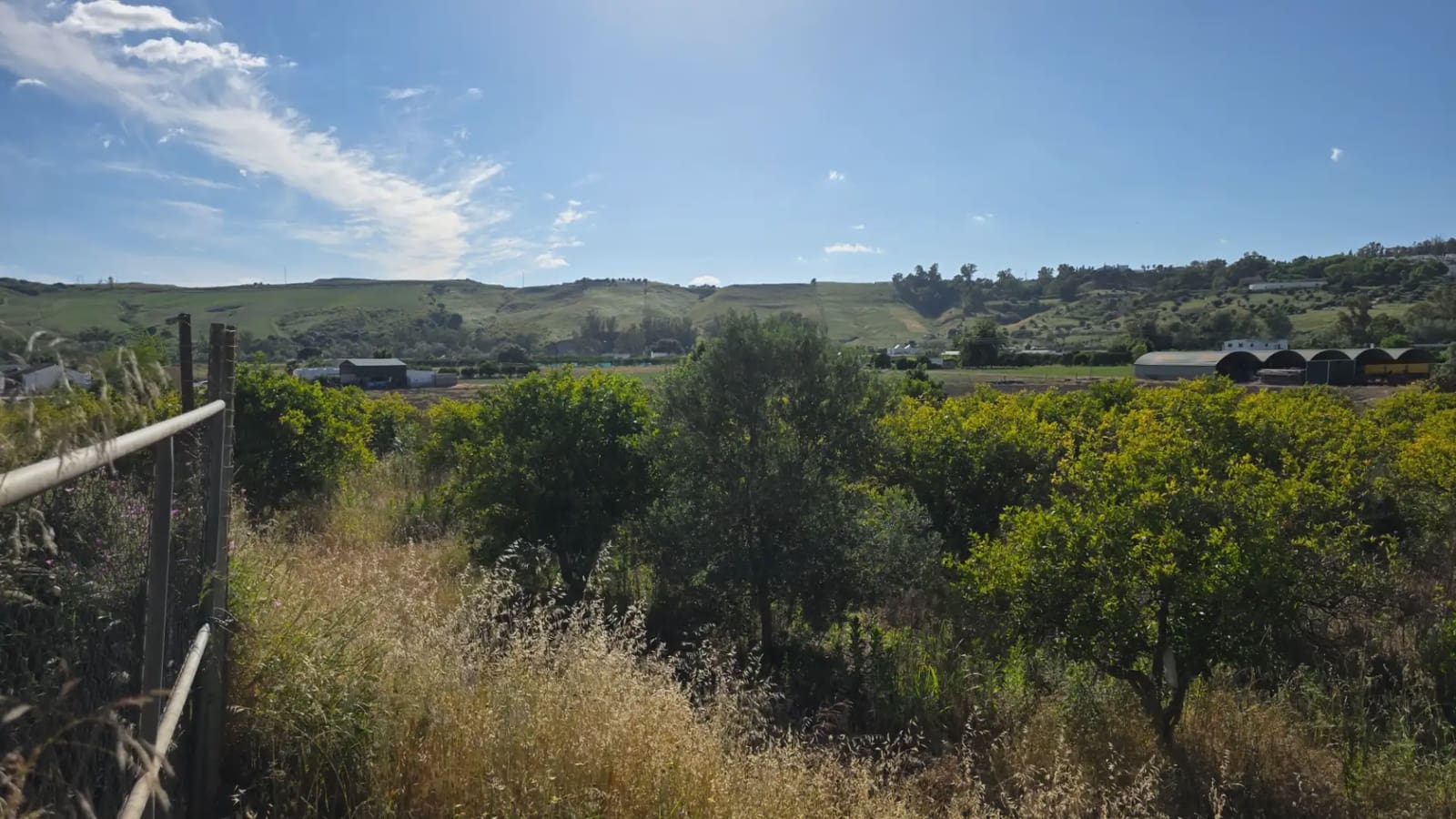 Mark till salu i Arcos de la Frontera - 50 000 € (Ref: 10016421)