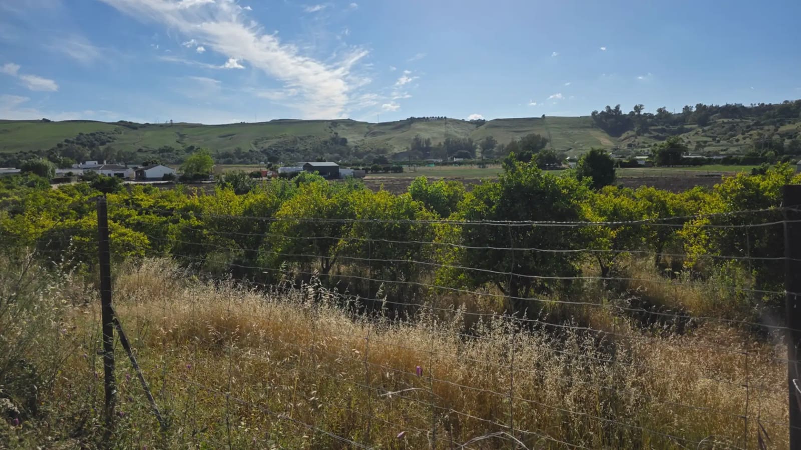 Mark till salu i Arcos de la Frontera - 50 000 € (Ref: 10016421)