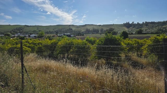 Grunde uden byggetilladelser til salg i Arcos de la Frontera - € 50.000 (Ref: 10016421)
