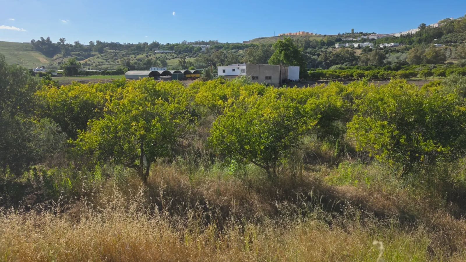 Mark till salu i Arcos de la Frontera - 50 000 € (Ref: 10016421)