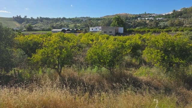 Grunde uden byggetilladelser til salg i Arcos de la Frontera - € 50.000 (Ref: 10016421)