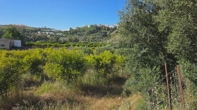 Grunde uden byggetilladelser til salg i Arcos de la Frontera - € 50.000 (Ref: 10016421)