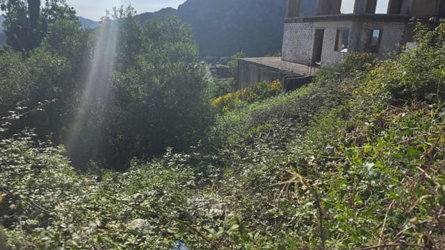 Solar/Parcela en Benaocaz en venta - 26.000 € (Ref: 10016423)