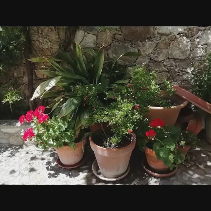 2 slaapkamer Huis te koop in Villaluenga del Rosario - € 250.000 (Ref: 10016424)