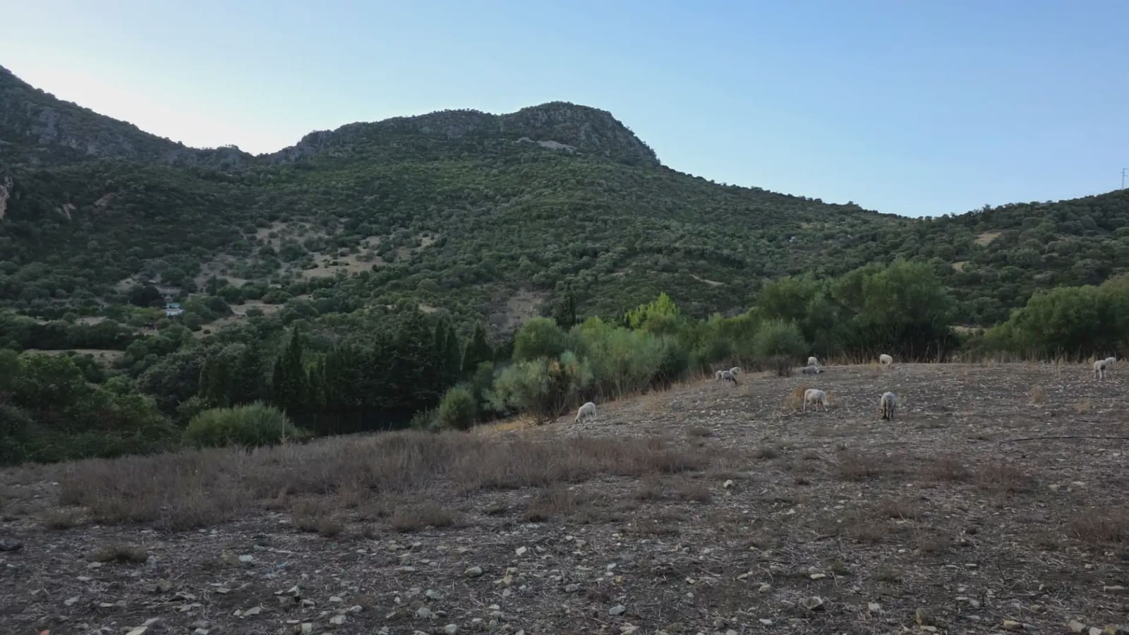 Terreno Não Urbanizado para venda em Ubrique - 125 000 € (Ref: 10130979)