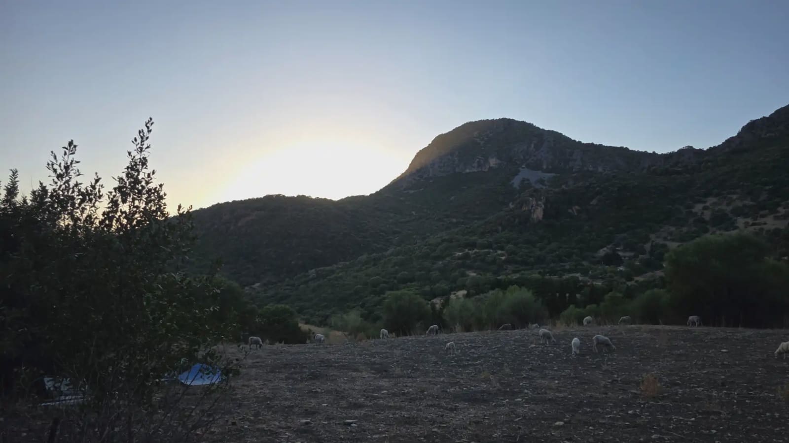 Terreno Não Urbanizado para venda em Ubrique - 125 000 € (Ref: 10130979)
