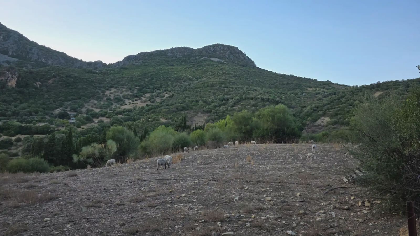 Terreno Não Urbanizado para venda em Ubrique - 125 000 € (Ref: 10130979)