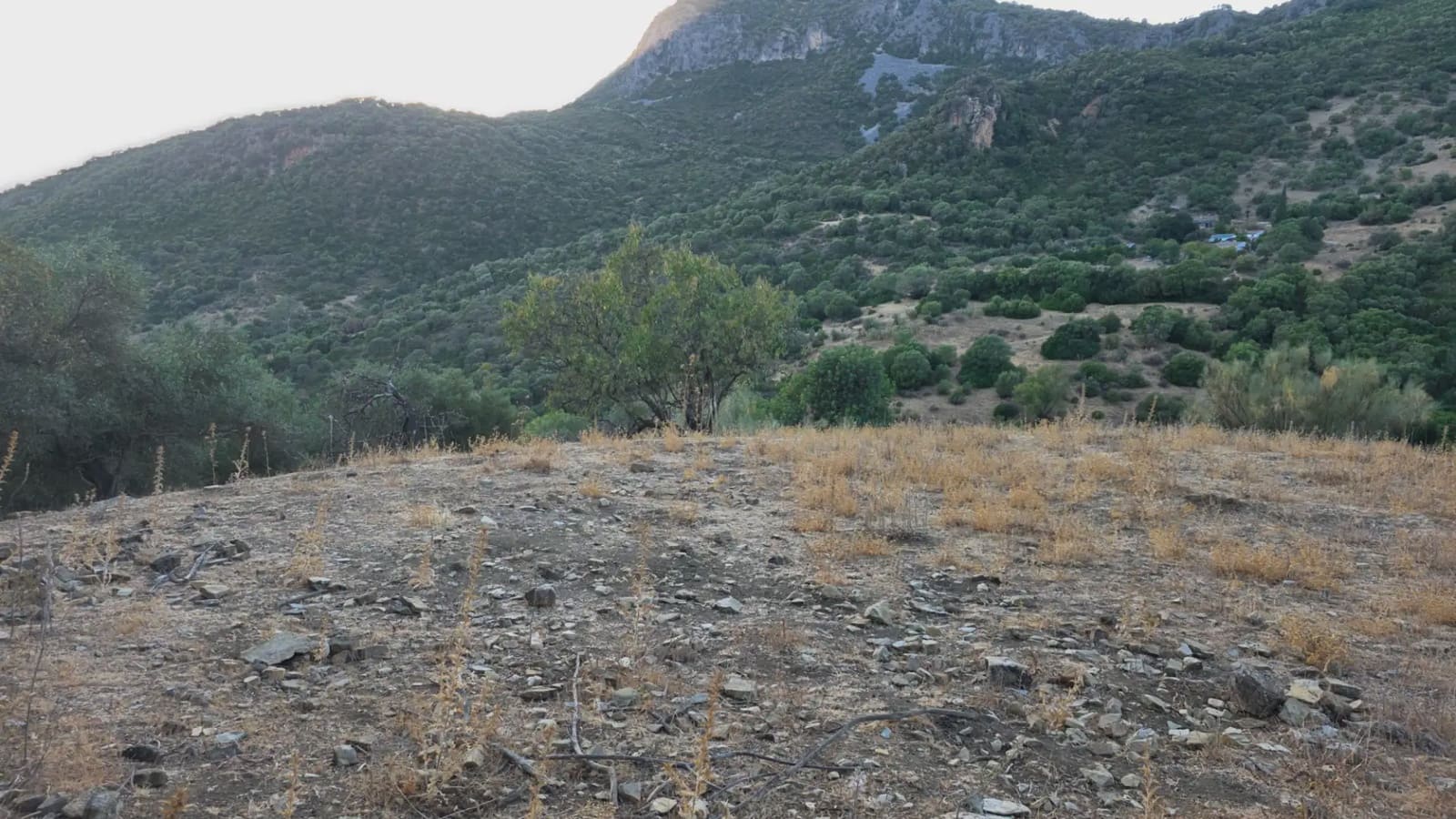 Terreno Não Urbanizado para venda em Ubrique - 125 000 € (Ref: 10130979)