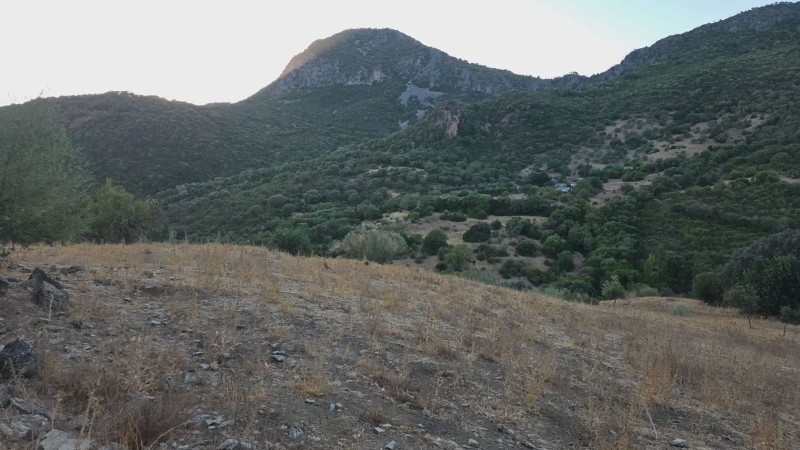 Terreno Não Urbanizado para venda em Ubrique - 125 000 € (Ref: 10130979)