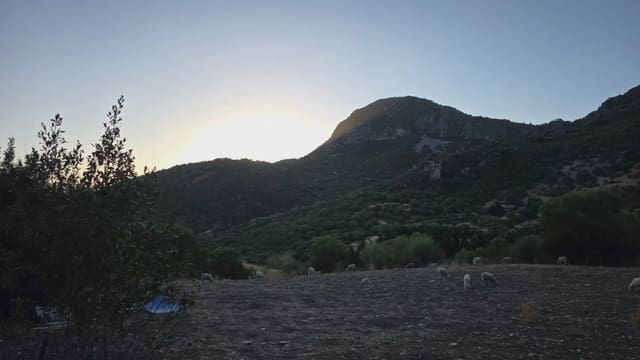 Terreno Não Urbanizado para venda em Ubrique - 125 000 € (Ref: 10130979)