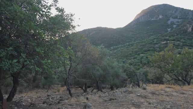 Terreno Não Urbanizado para venda em Ubrique - 125 000 € (Ref: 10130979)