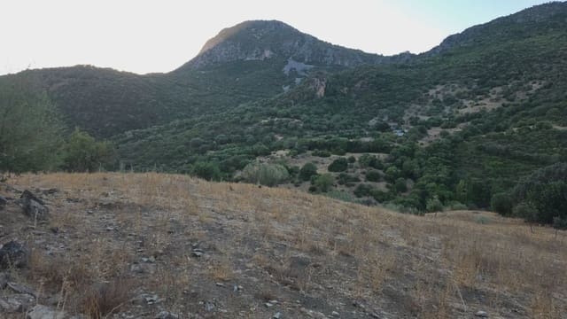 Terreno Não Urbanizado para venda em Ubrique - 125 000 € (Ref: 10130979)