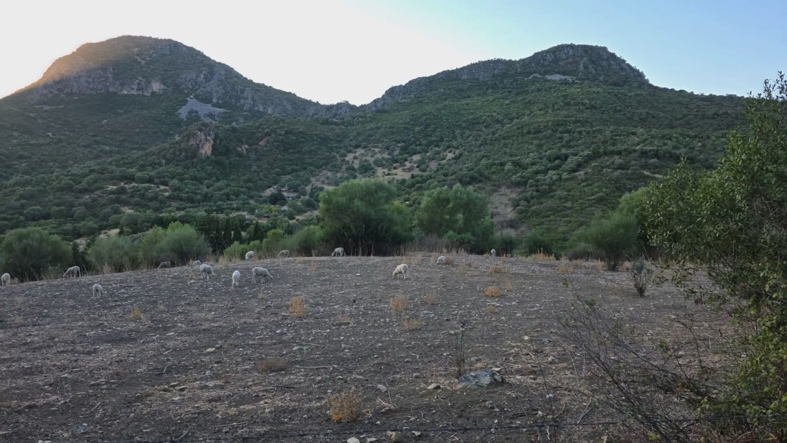 Terreno Não Urbanizado para venda em Ubrique - 125 000 € (Ref: 10130979)