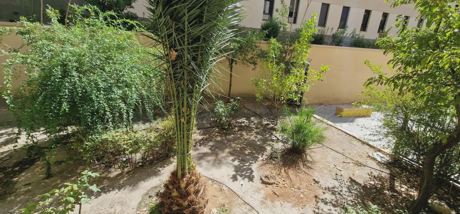 3 sypialnia Mieszkanie na sprzedaż w Miasto Grenada - 365 000 € (Ref: 10045436)