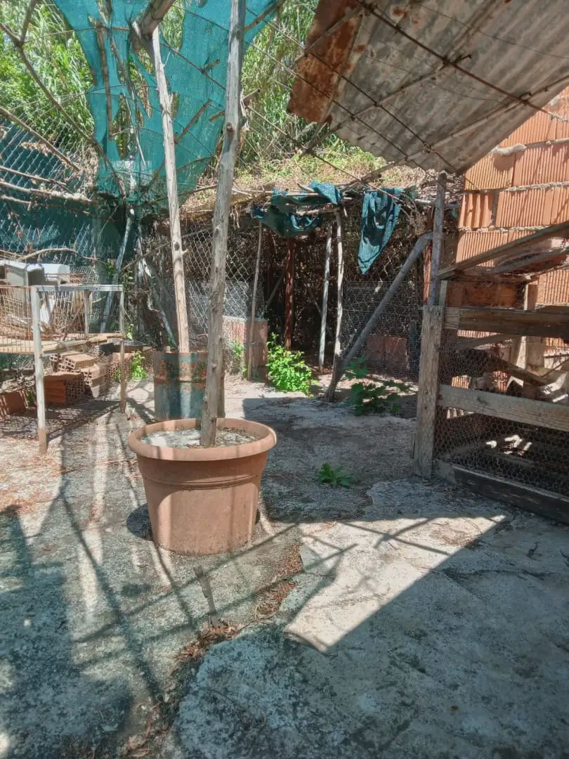 Landgrundstück zu verkaufen in Fuente Vaqueros - 75.000 € (Ref: 10045438)