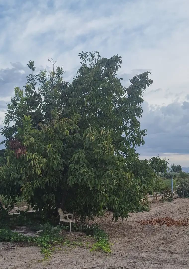 Ubebygd land til salgs i Maracena - € 110 000 (Ref: 10141574)