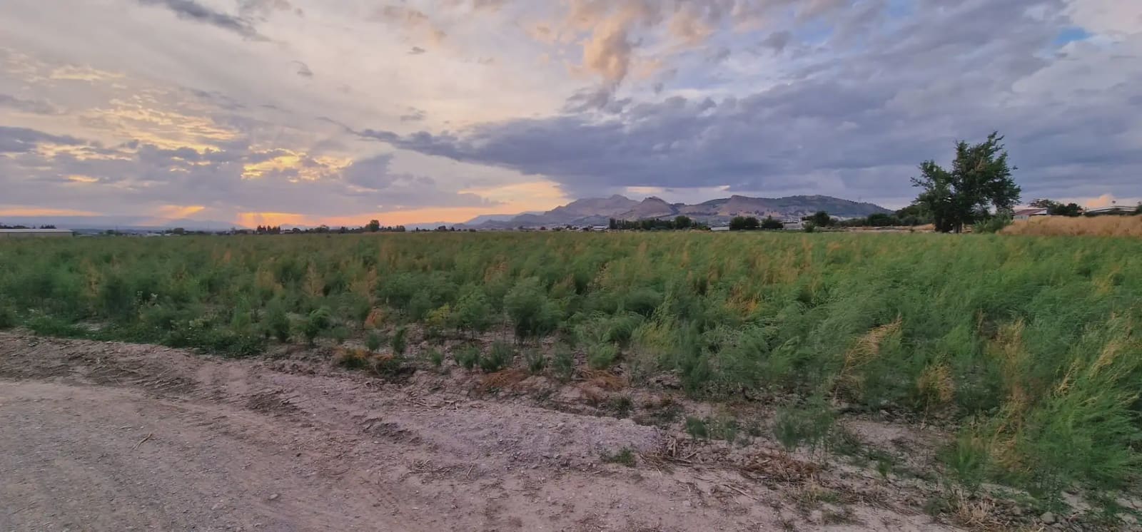Ubebygd land til salgs i Maracena - € 110 000 (Ref: 10141574)