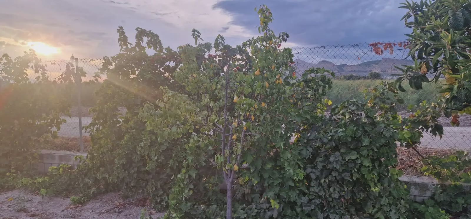 Ubebygd land til salgs i Maracena - € 110 000 (Ref: 10141574)