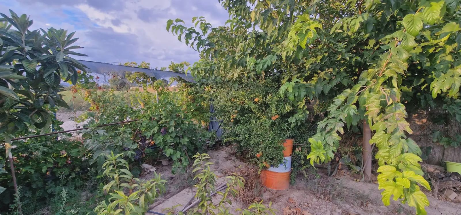Ubebygd land til salgs i Maracena - € 110 000 (Ref: 10141574)