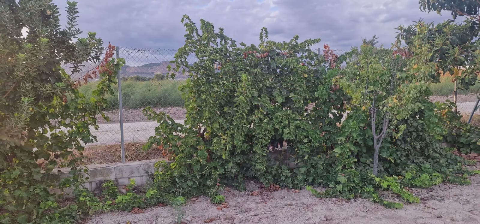 Ubebygd land til salgs i Maracena - € 110 000 (Ref: 10141574)