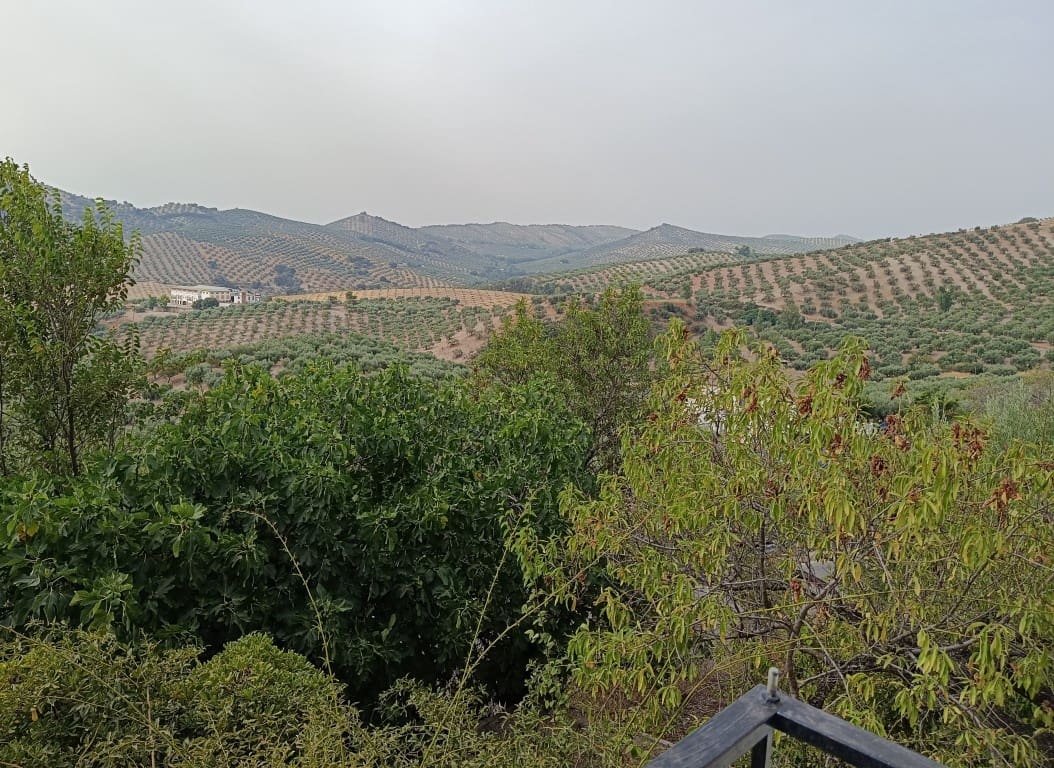 4 sypialnia Finka/Dom wiejski na sprzedaż w Priego de Cordoba - 119 000 € (Ref: 10046133)