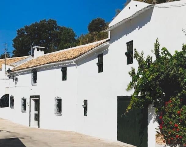 6 Zimmer Finca/Landgut zu verkaufen in Las Piedras, Rute - 60.000 € (Ref: 10046140)