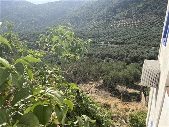 6 Zimmer Finca/Landgut zu verkaufen in Las Piedras - 60.000 € (Ref: 10046140)