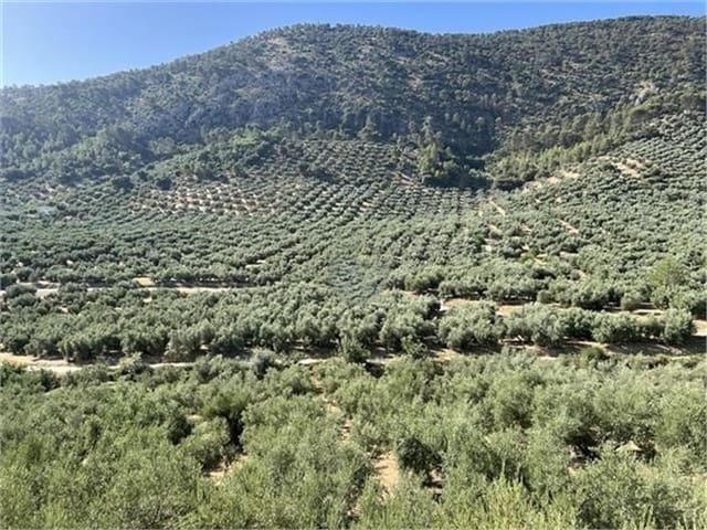 6 Zimmer Finca/Landgut zu verkaufen in Las Piedras, Rute - 60.000 € (Ref: 10046140)
