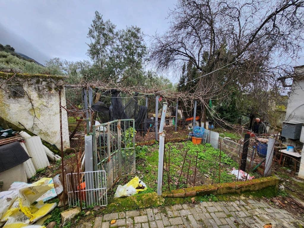 7 Zimmer Finca/Landgut zu verkaufen in Las Piedras - 45.000 € (Ref: 10046154)